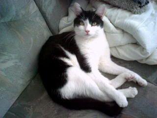 [img width=320 height=240]http://i78.photobucket.com/albums/j120/harley8118/SP_A1973.jpg[/img]