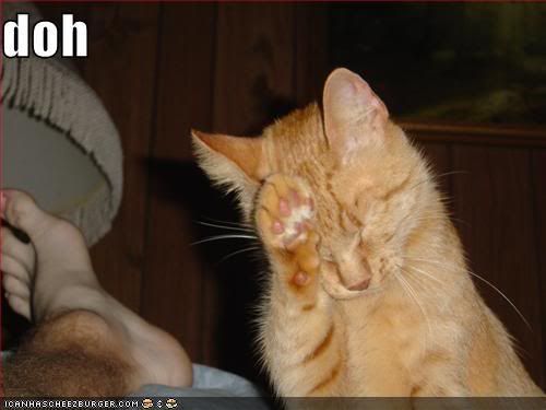 funny-pictures-doh-cat.jpg