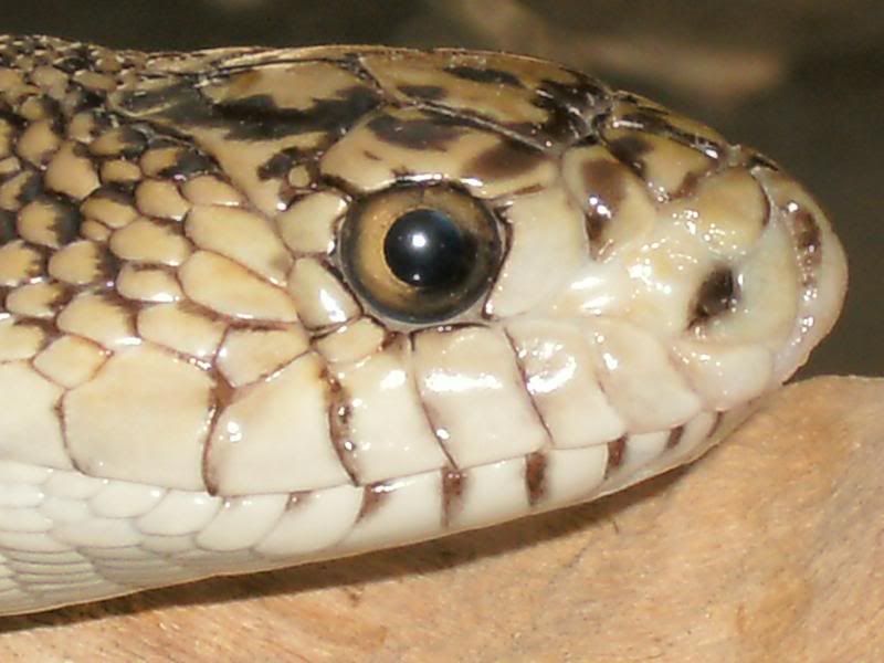 GEDC0171.jpg