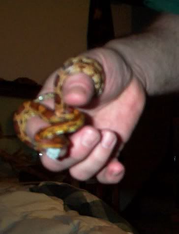 bite2.jpg