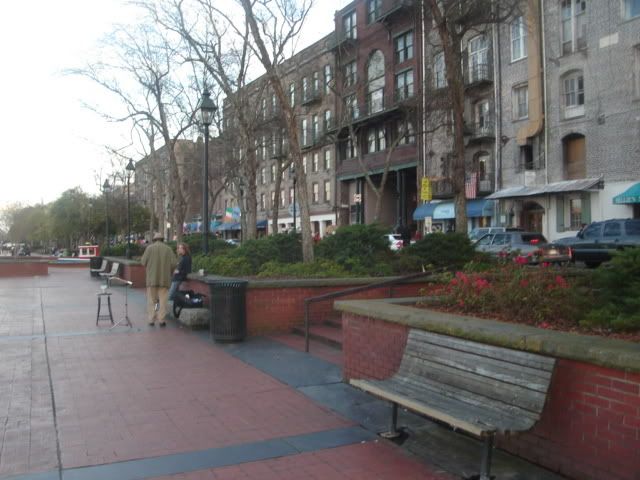 Savannah003.jpg