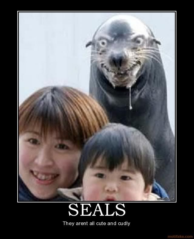 [Image: seals-cute-demotivational-poster-12.jpg]