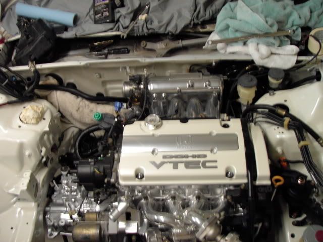 5th Gen Engine Bay shave - Page 5 - Honda-Tech - Honda Forum Discussion 5th Gen Engine Bay shave - Page 5 - Honda-Tech - Honda Forum Discussion