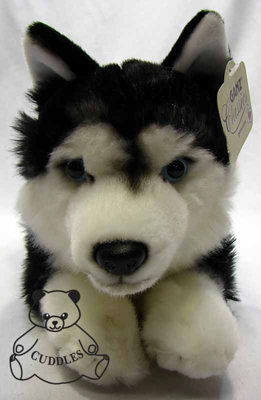get a stuffed animal that looks like your dog