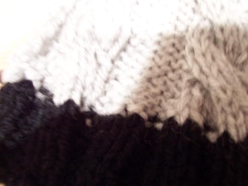 100_6919.jpg