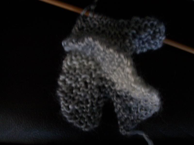 100_6958.jpg