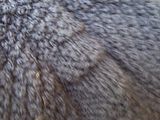 th_100_7200.jpg