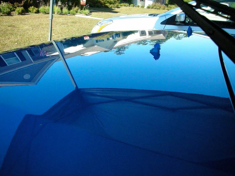 DSCN1420.jpg