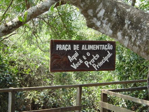 [Imagem: Imagem033.jpg]
