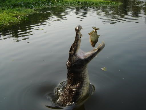 [Imagem: Imagem040.jpg]