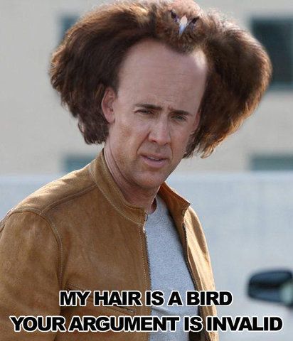 hairbird.jpg