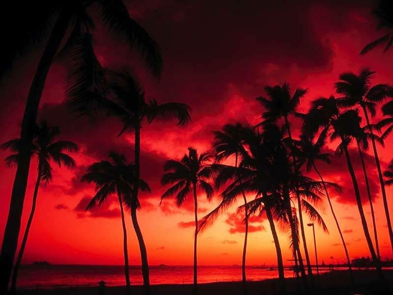 manzara Pictures, Images and Photos