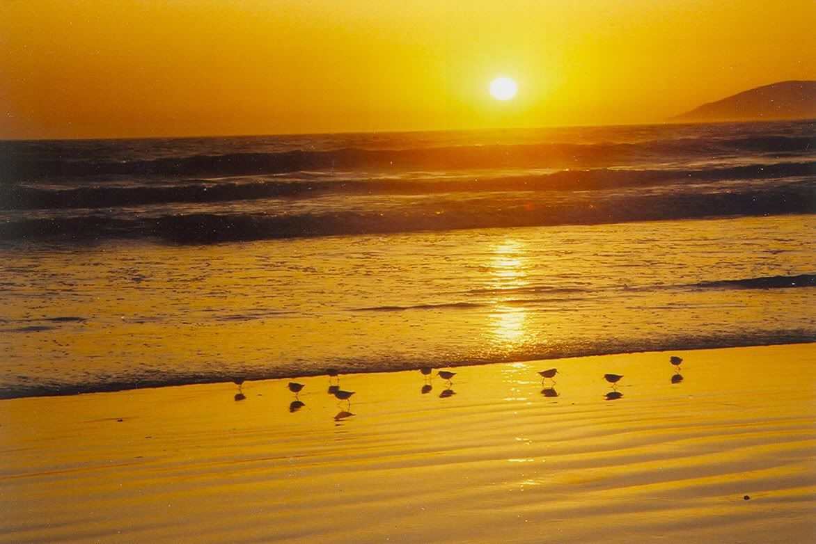 imagenes de los oceanos imagenes de los oceanos
