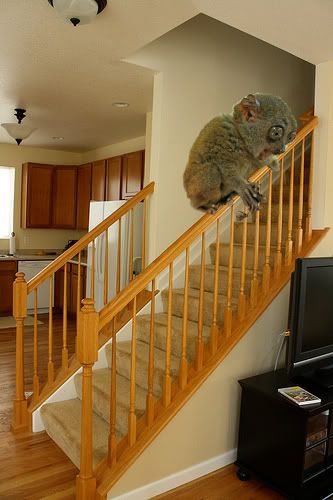 I fucking love this banister!