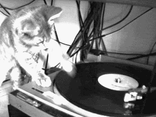 dj-pussy.gif
