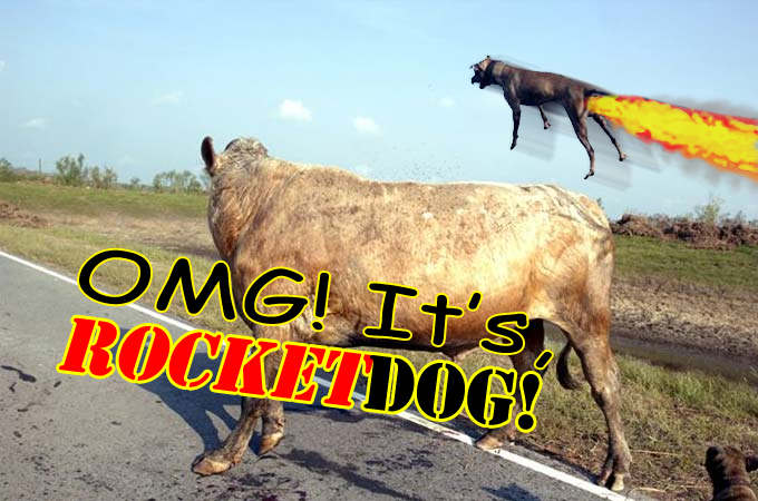 rocketdog.png