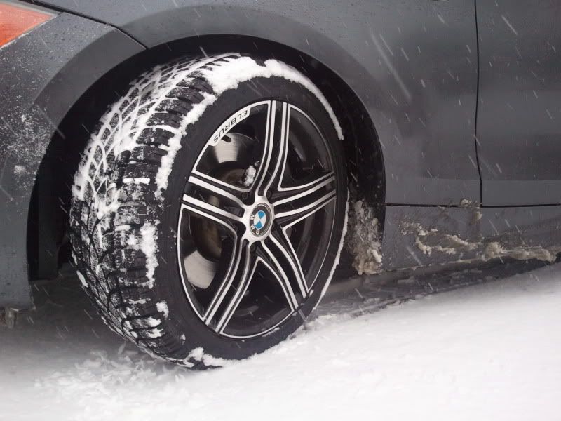 2011-01-08093832.jpg