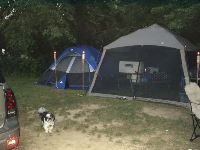 camping02.jpg