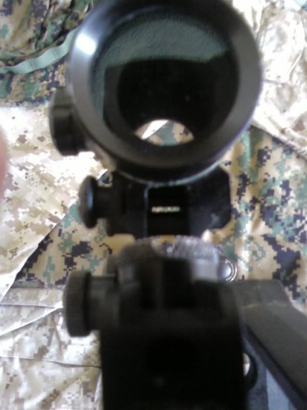 Posted Image
