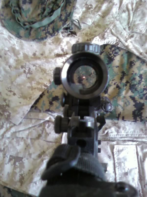 Posted Image