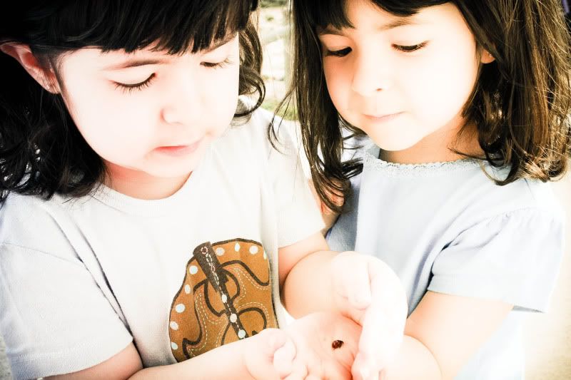 IMAGE: http://i78.photobucket.com/albums/j95/sisco22/IMG_0264.jpg