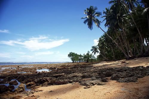 Punta Diwata