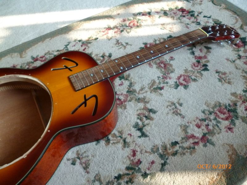 Fender Dobro Guitar
