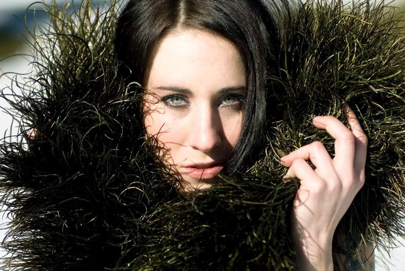 http://i78.photobucket.com/albums/j98/carrieshmurgul/Fd079-1-1.jpg