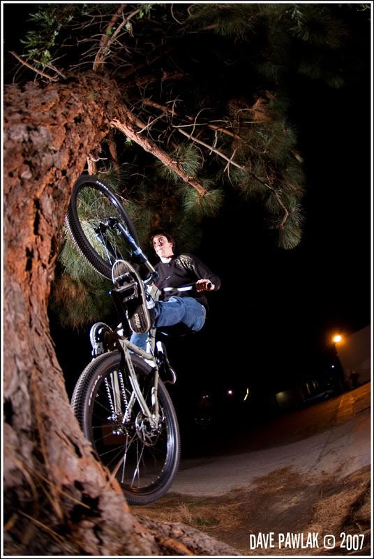 IMAGE: http://i78.photobucket.com/albums/j99/BLS439/_F4M5921.jpg