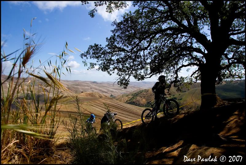 IMAGE: http://i78.photobucket.com/albums/j99/BLS439/_H4J6197.jpg