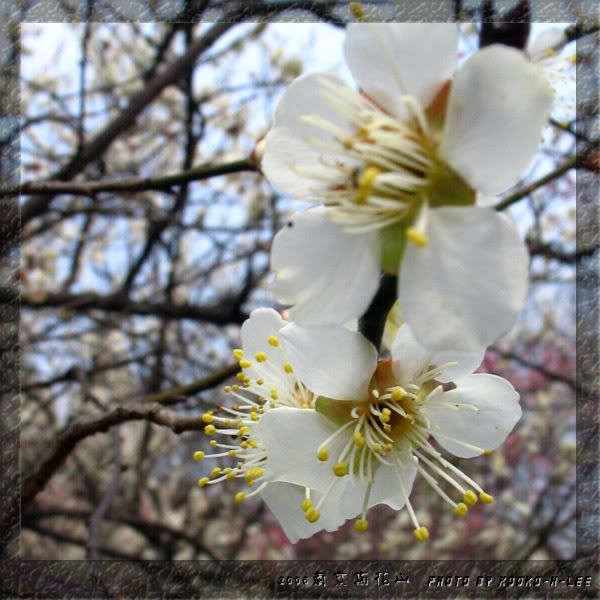 Picture:Click to zoom Picture:Click to zoom