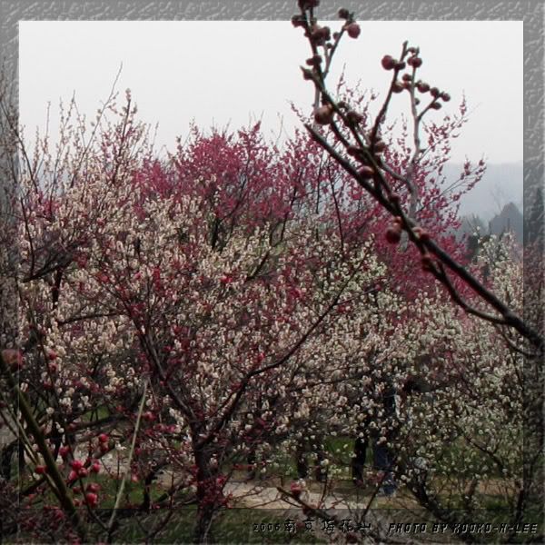 Picture:Click to zoom Picture:Click to zoom