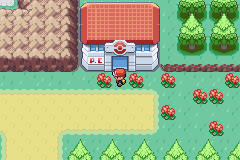 [PokeCommunity.com] Pokemon Diglett's Domination