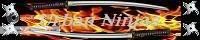 the urban ninjas (a ninja clan) banner
