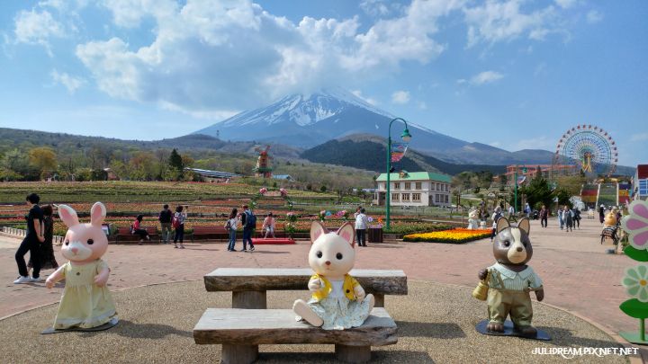 2019五月獨遊日本看富士山和賞花 (Grinpa)