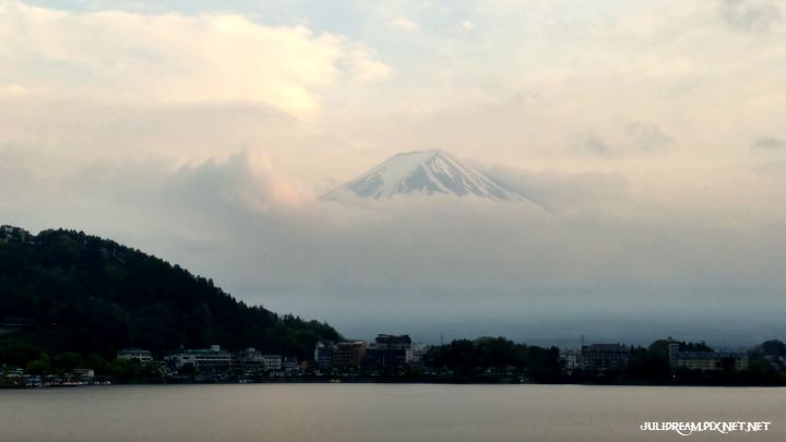 2019五月獨遊日本看富士山和賞花 (富之湖旅館)