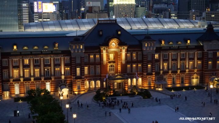 2019五月獨遊日本看富士山和賞花 (東京站夜攝)