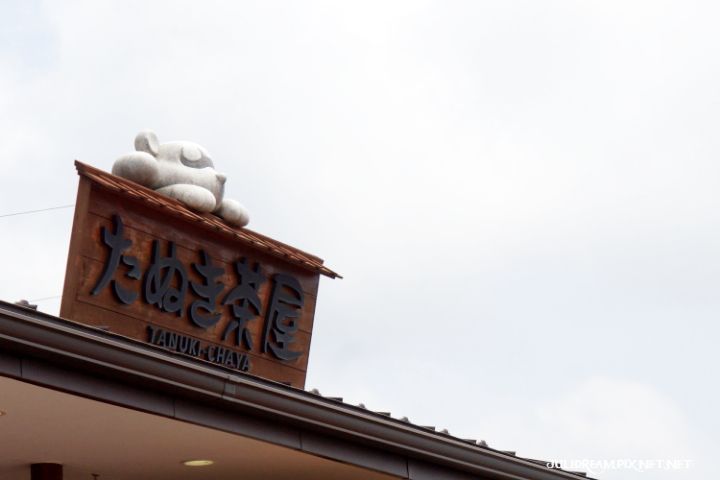 2019五月獨遊日本看富士山和賞花 (河口湖纜車(天上山公園