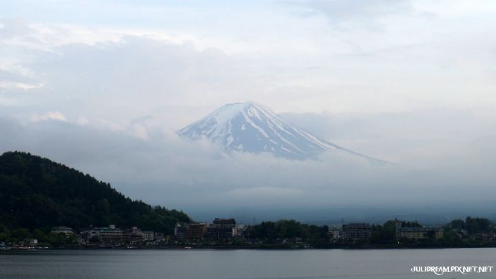 2019五月獨遊日本看富士山和賞花 (富之湖旅館)