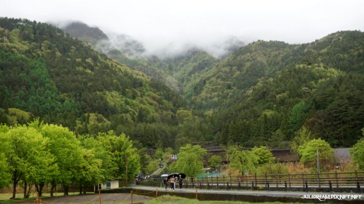 2019五月獨遊日本看富士山和賞花 (西湖里根場(二))