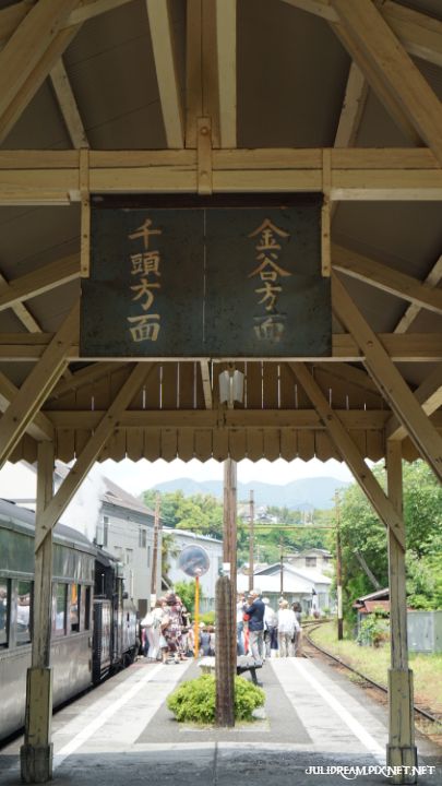 2019五月獨遊日本看富士山和賞花 (家山站)