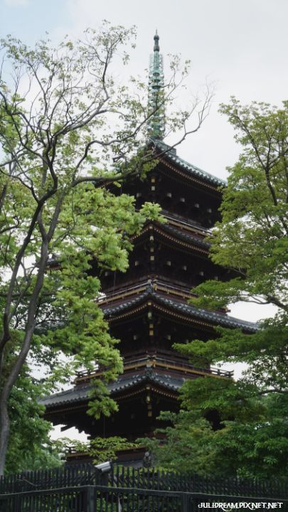 2019五月獨遊日本看富士山和賞花 (上野公園)