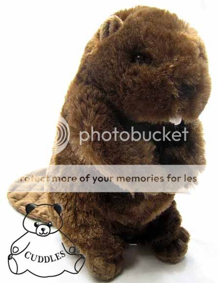 有关以下物品的详细资料: buddy beavercuddle plush toy stuffed